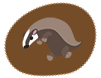 Badger Small